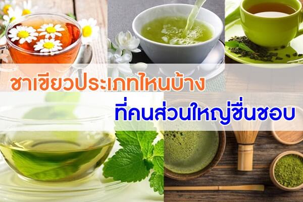 ชาเขียวประเภทไหนบ้าง-ที่คนส่วนใหญ่ชื่นชอบ