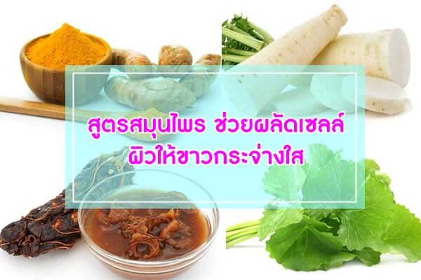 สูตรสมุนไพร-ช่วยผลัดเซลล์ผิวให้ขาวกระจ่างใส